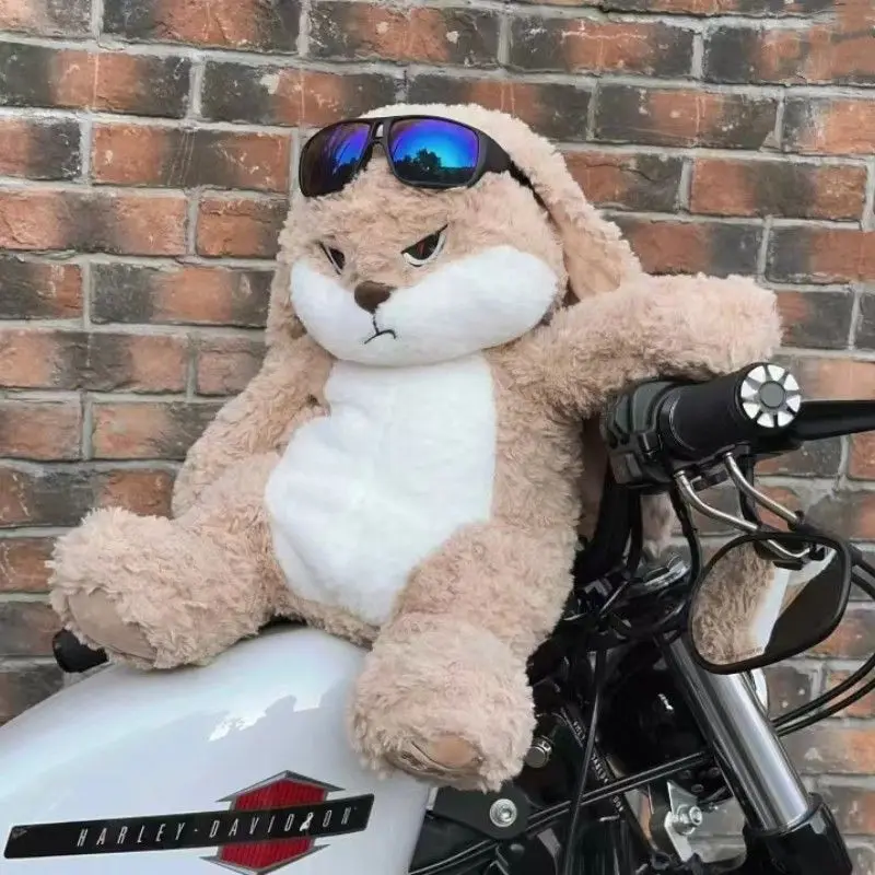 Angry Bunny - Image 4