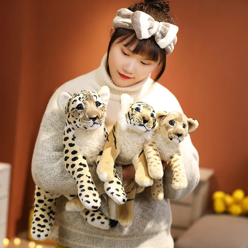 Baby Felines - Image 12