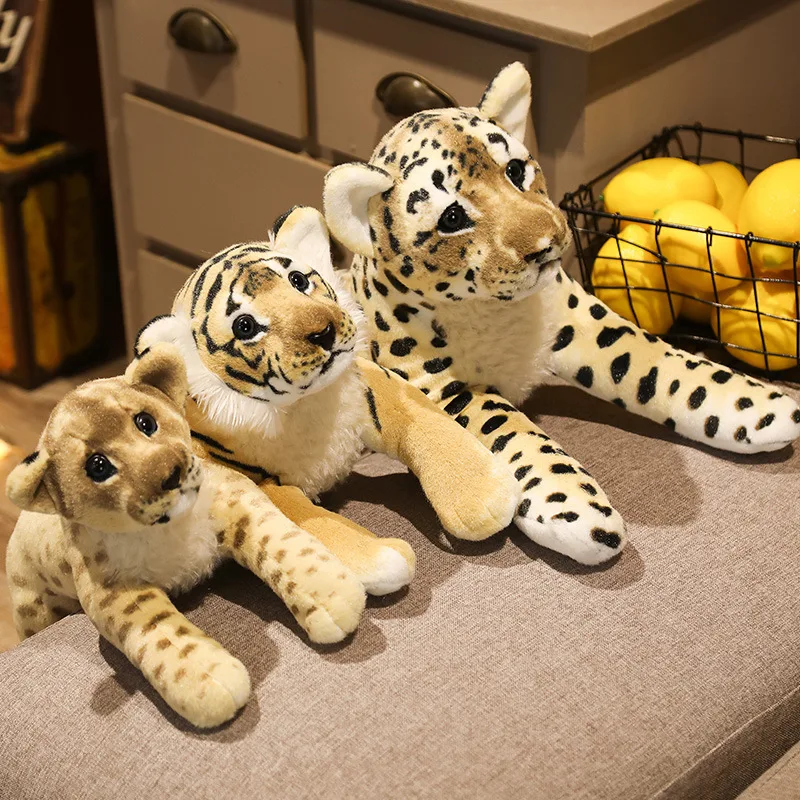 Baby Felines - Image 3