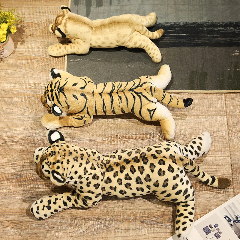Baby Felines - Image 6