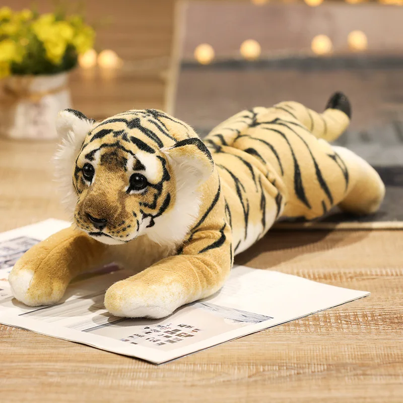 Baby Felines - Image 7