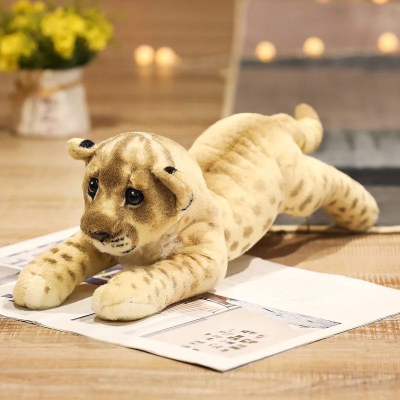 Baby Felines - Image 9