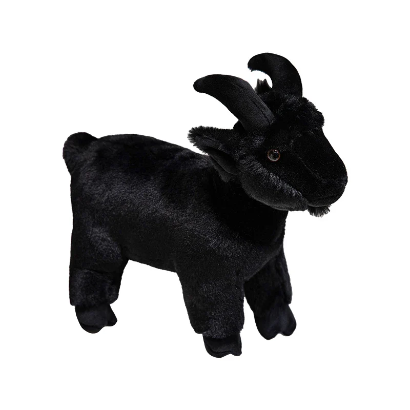 Baby Goat