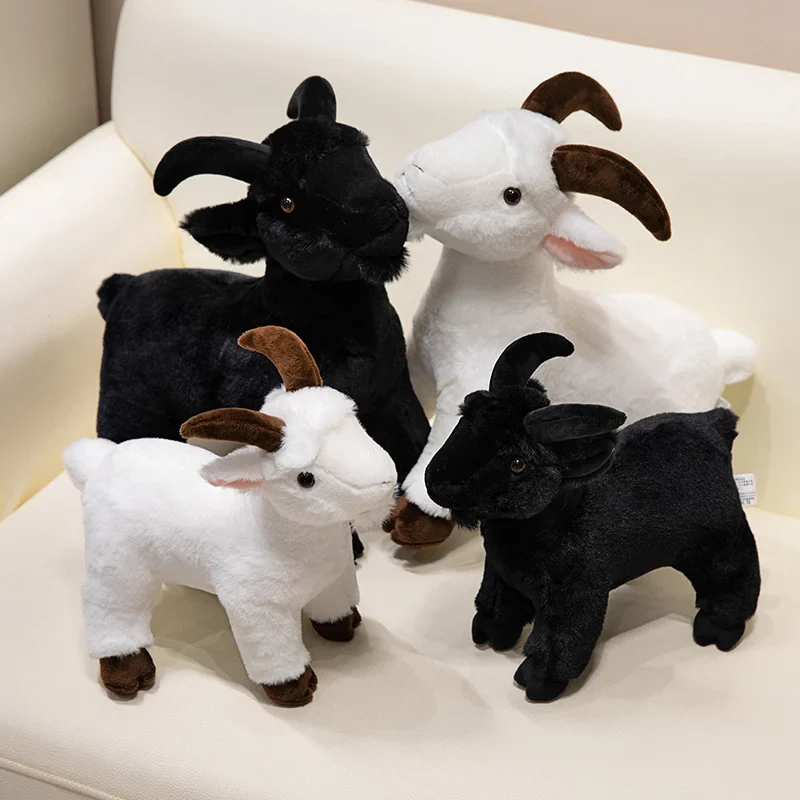 Baby Goat - Image 3