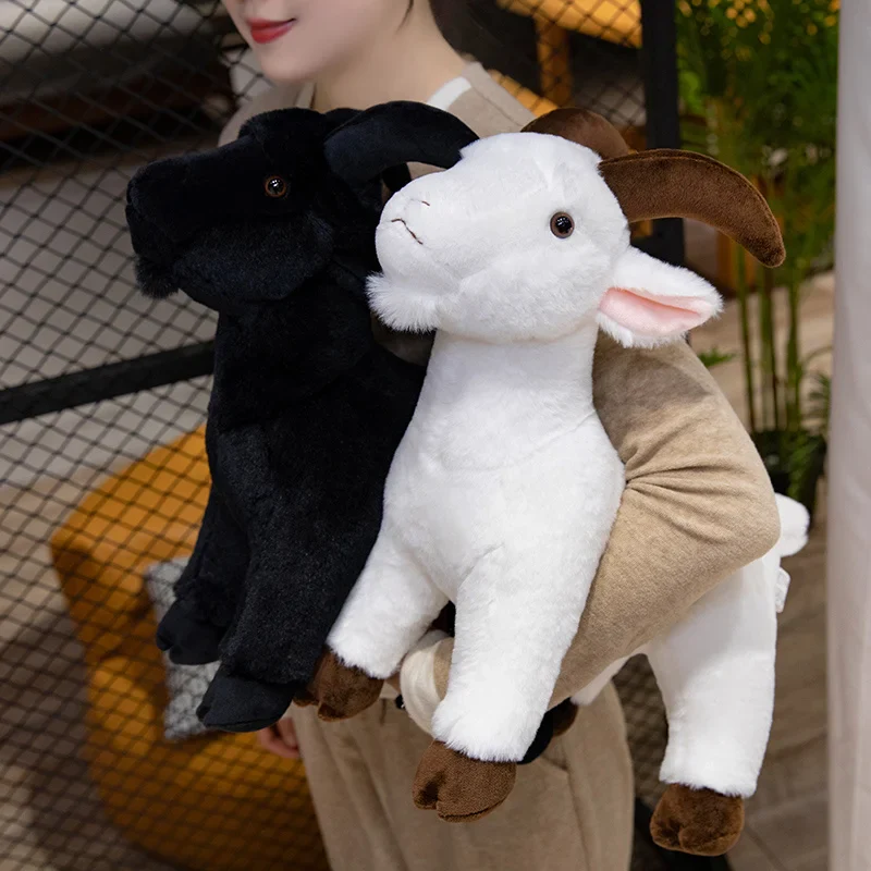 Baby Goat - Image 5