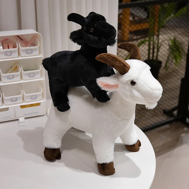 Baby Goat - Image 6