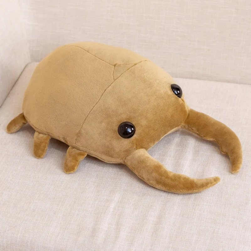 Beetle - Image 5