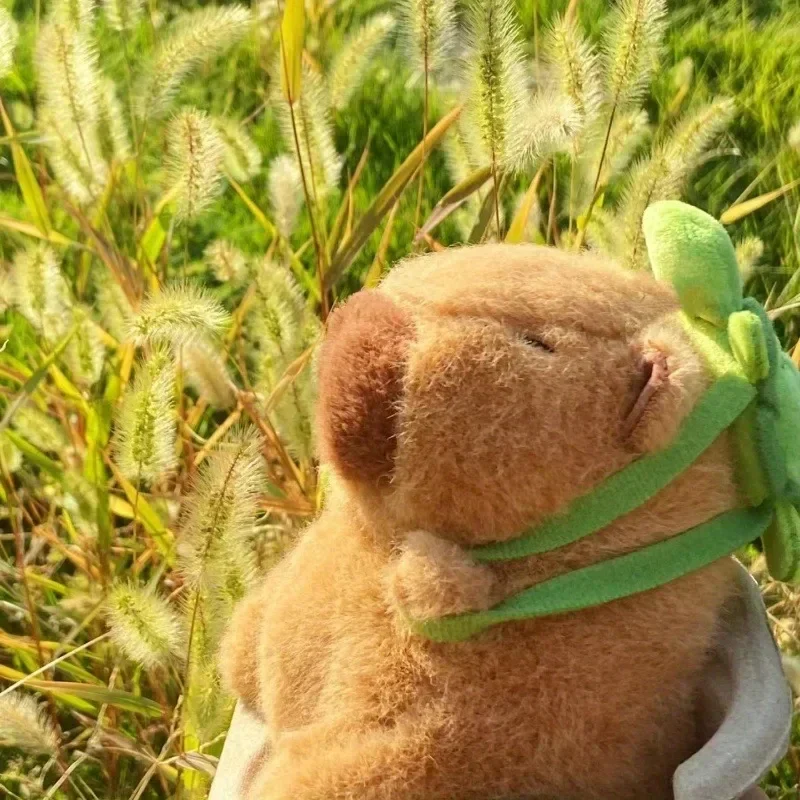 Capybara - Image 5