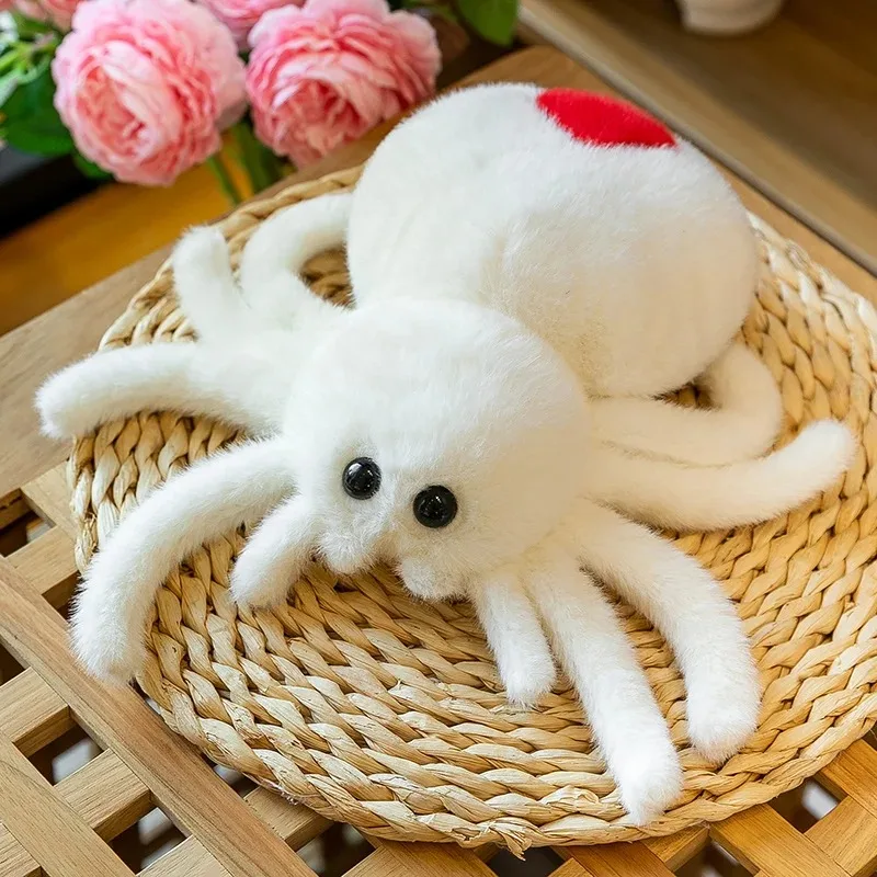 Chonky Spider - Image 9