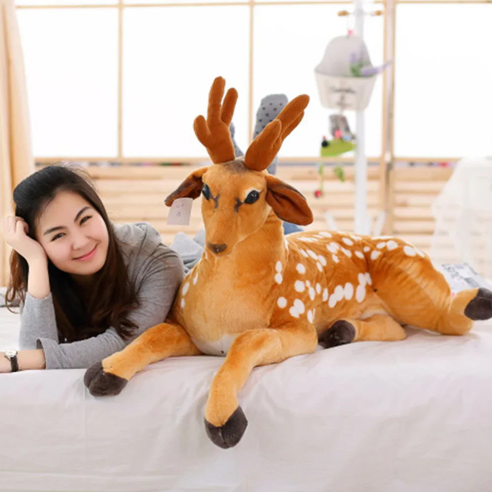 Deer - Image 12