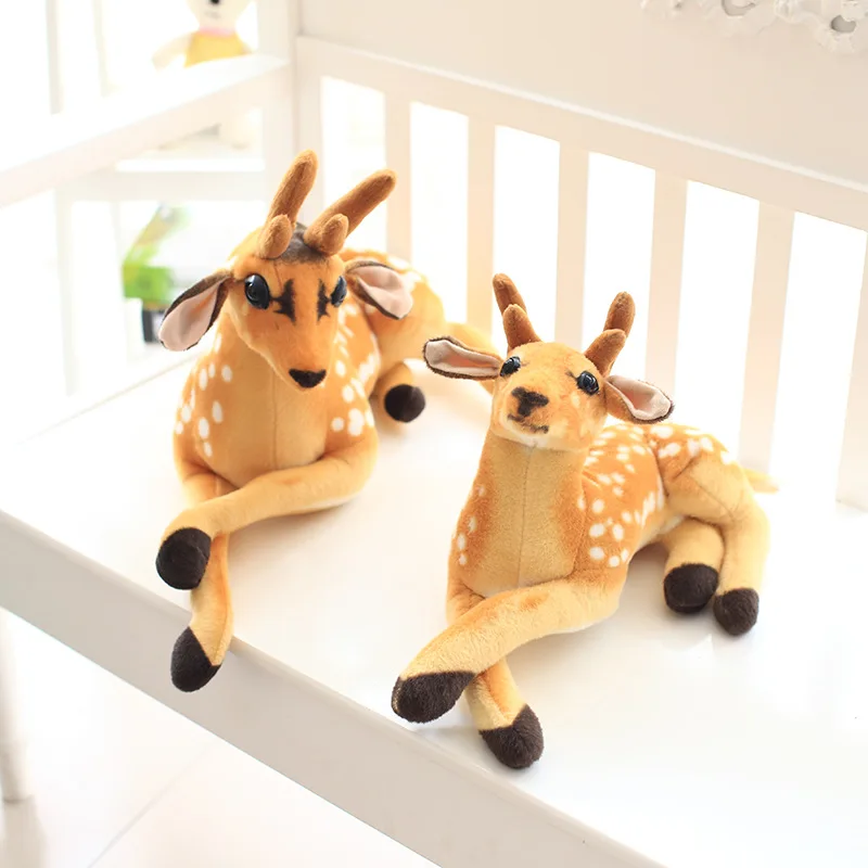 Deer - Image 4