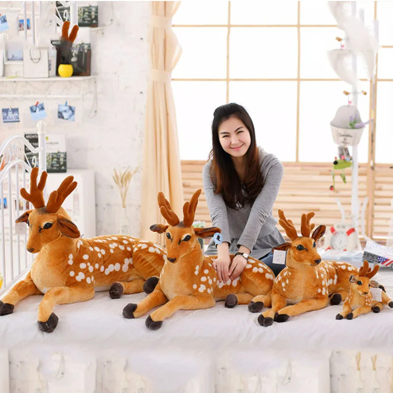 Deer - Image 5