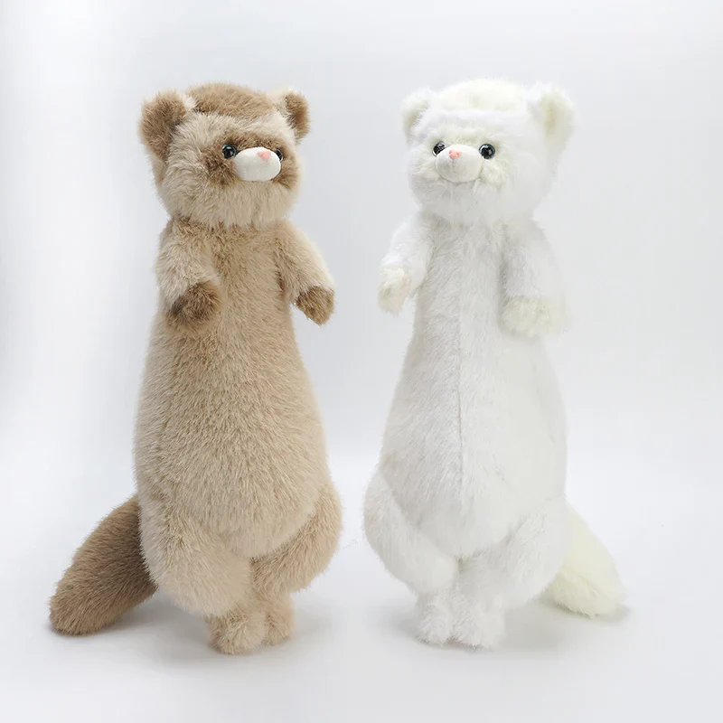 Ferret
