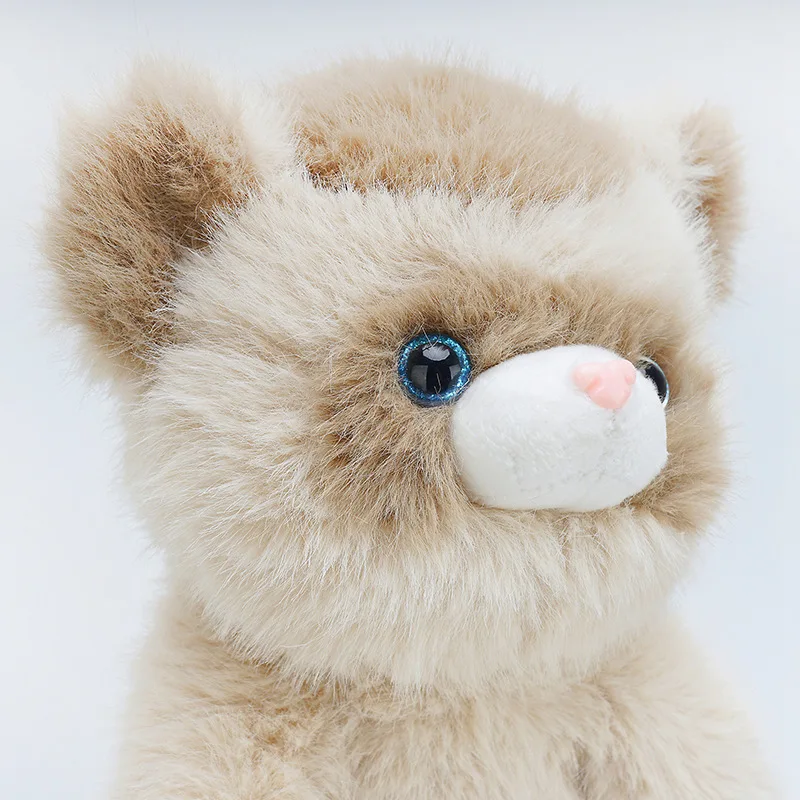 Ferret - Image 3