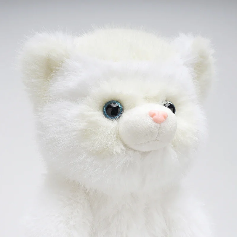 Ferret - Image 4