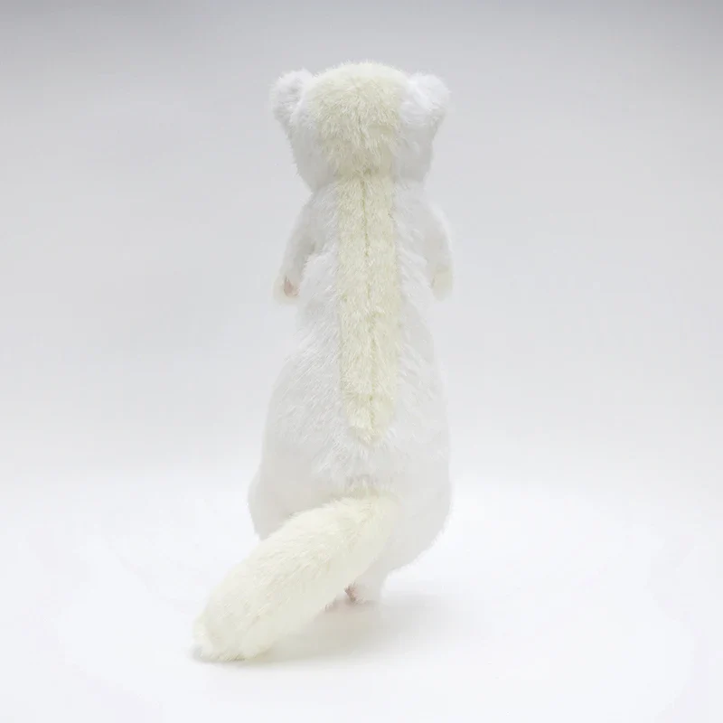 Ferret - Image 6