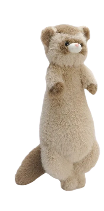 Ferret - Image 8
