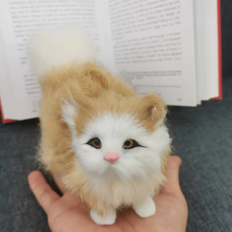 Fluffy Cats - Image 4