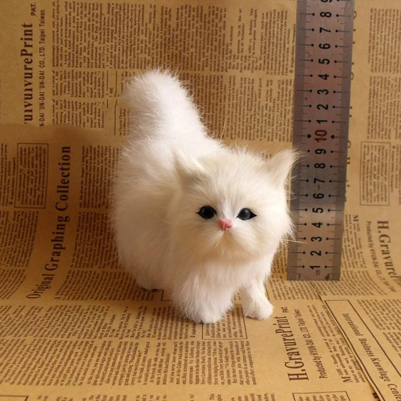 Fluffy Cats - Image 6