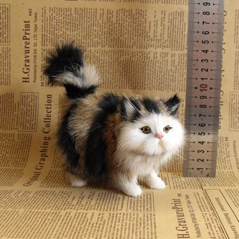 Fluffy Cats - Image 7