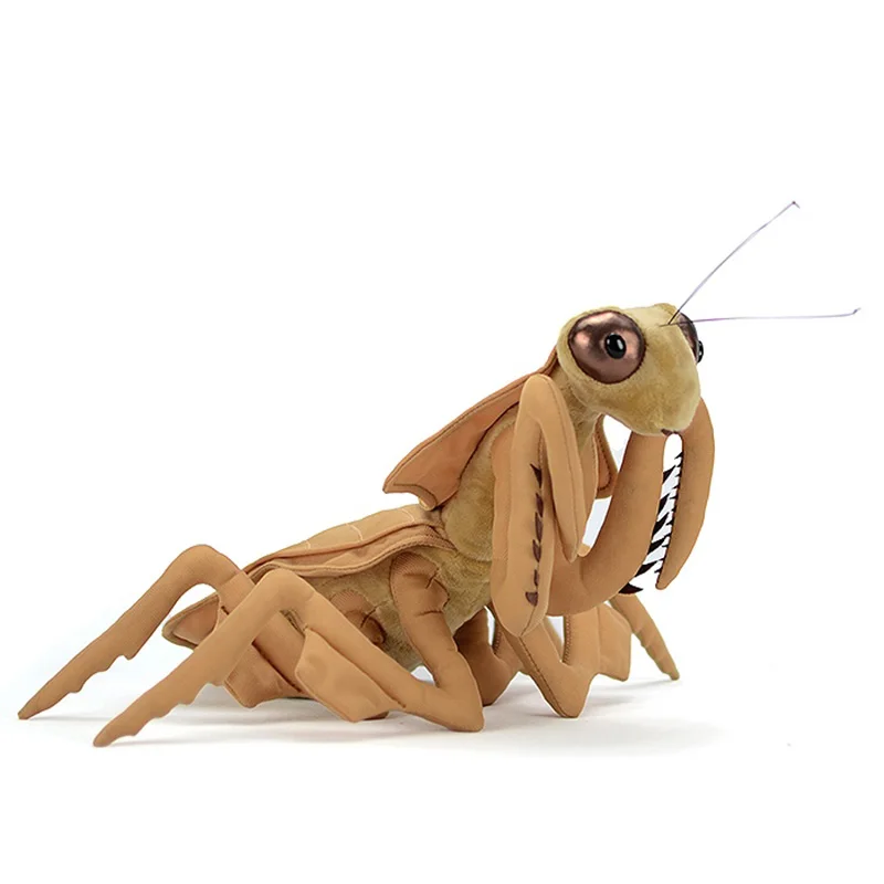 Fluffy Insects Collection - Image 11