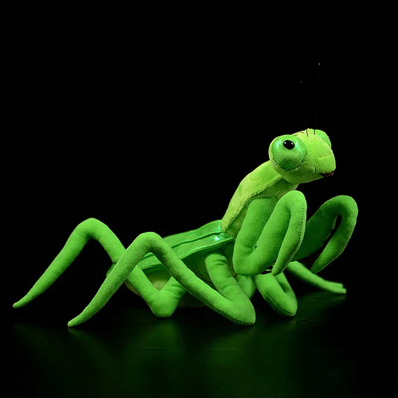 Fluffy Insects Collection - Image 13