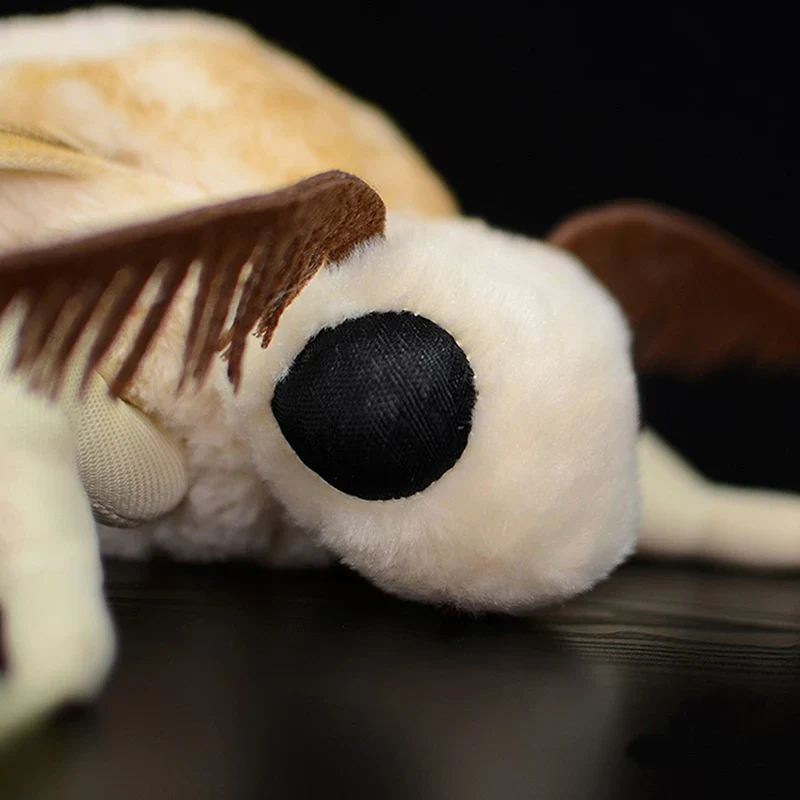 Fluffy Insects Collection - Image 5