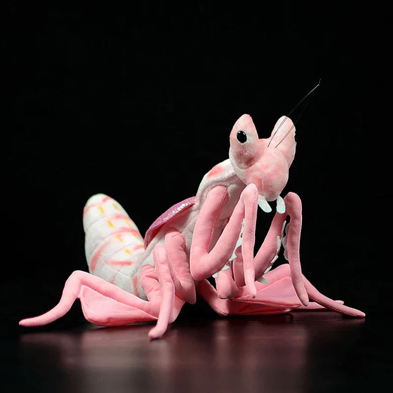 Fluffy Insects Collection - Image 9