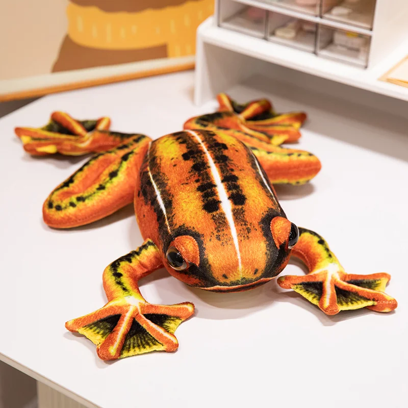 Frog - Image 8