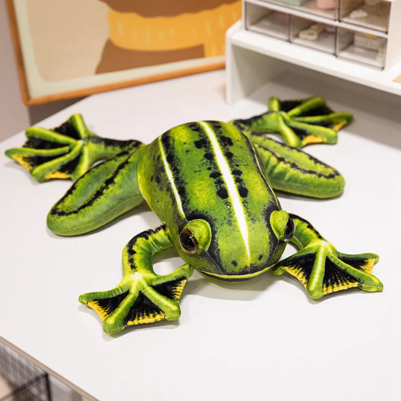 Frog - Image 9