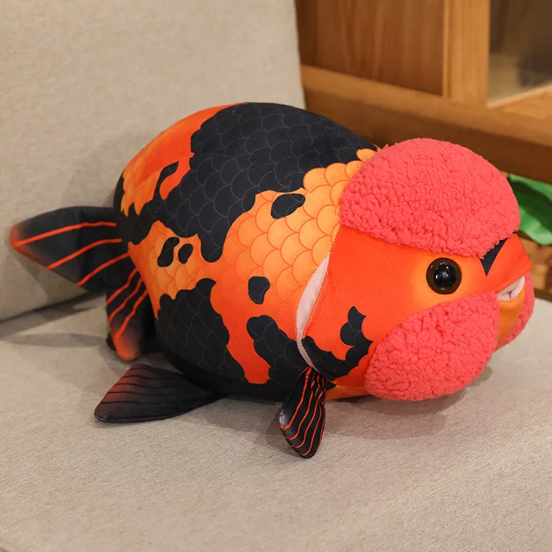Ranchu Goldfish - Image 10