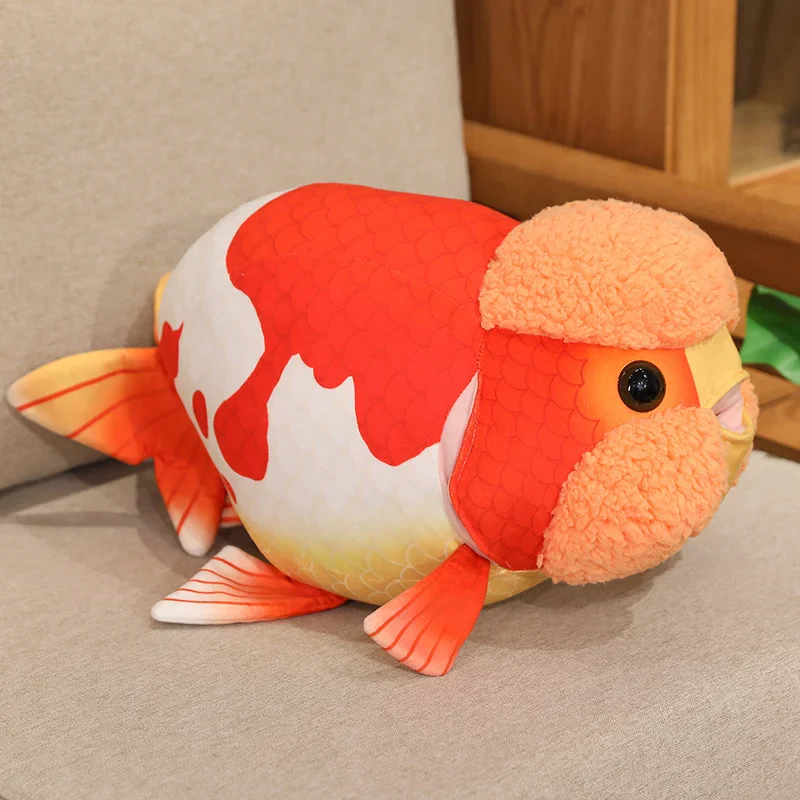 Ranchu Goldfish - Image 11