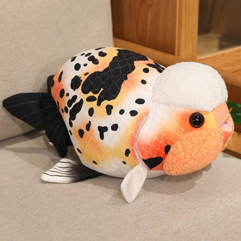 Ranchu Goldfish - Image 12