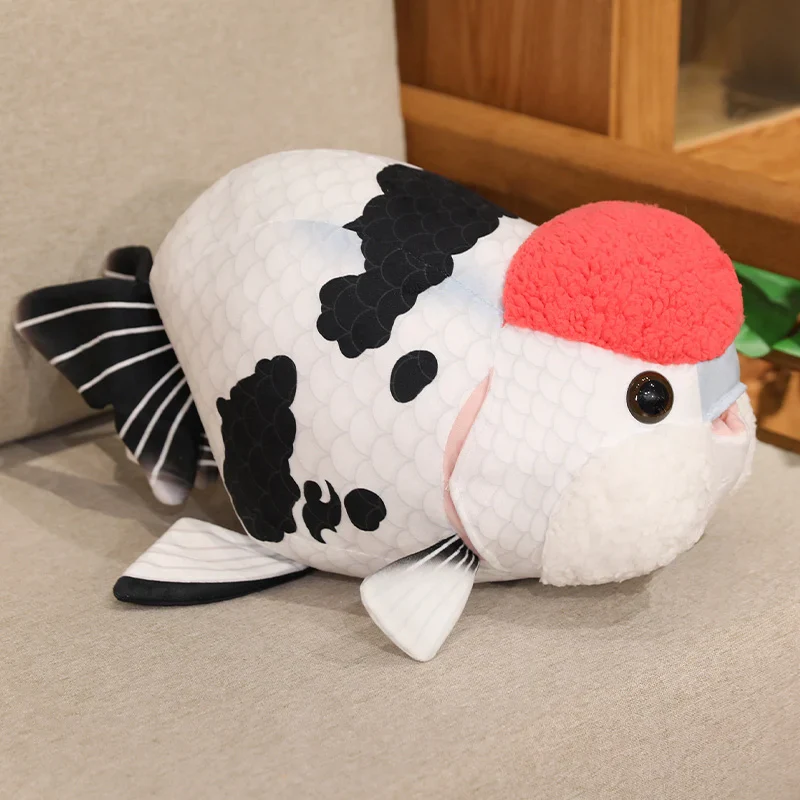 Ranchu Goldfish - Image 13