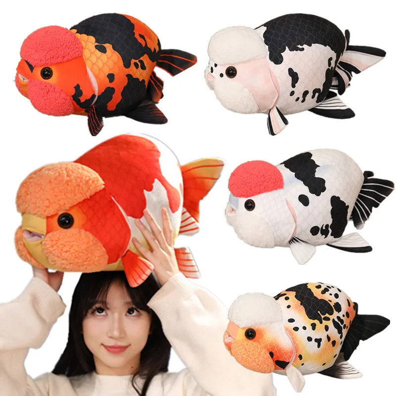 Ranchu Goldfish - Image 14