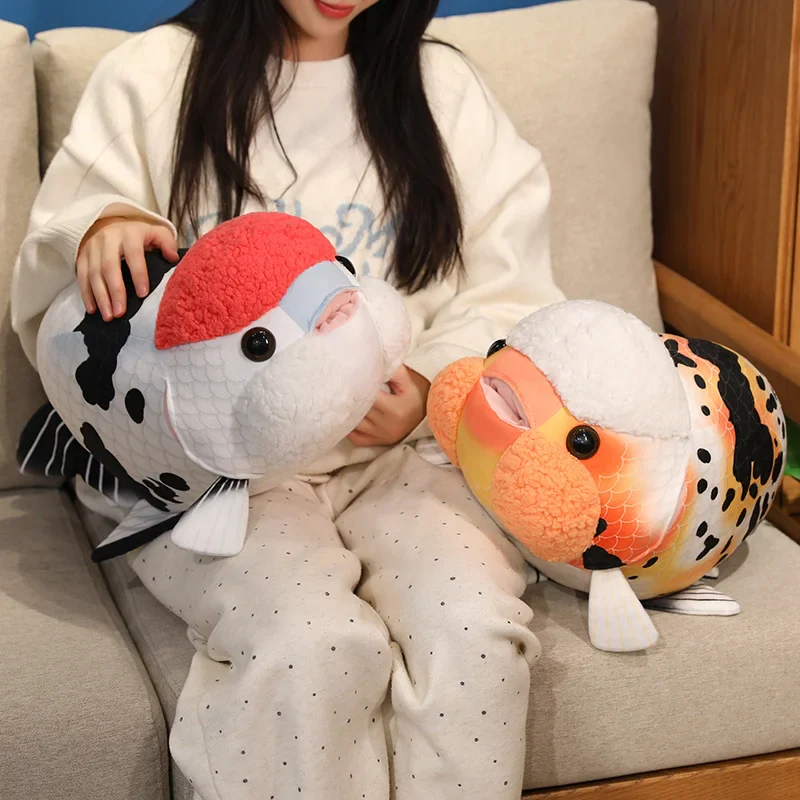 Ranchu Goldfish - Image 2