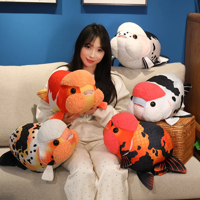 Ranchu Goldfish - Image 3