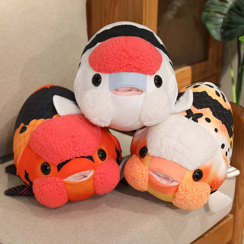 Ranchu Goldfish - Image 4