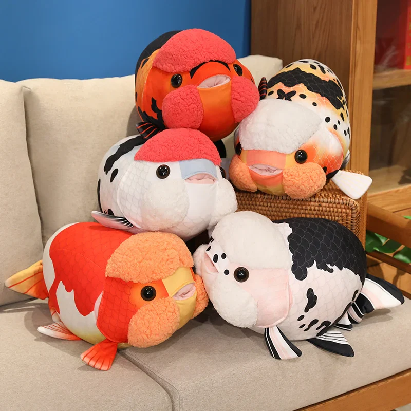 Ranchu Goldfish - Image 5