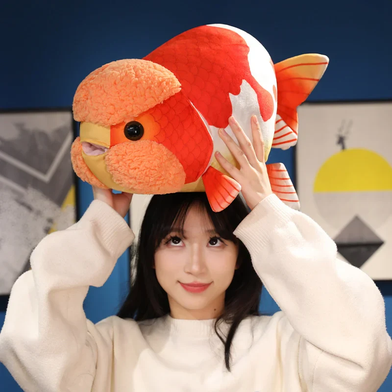 Ranchu Goldfish - Image 6