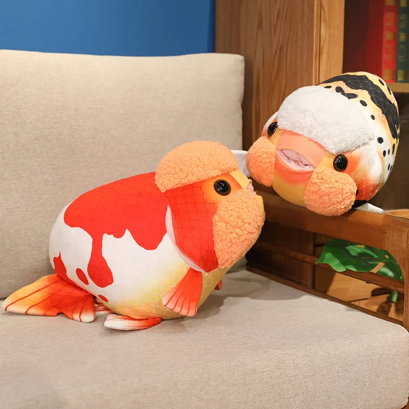 Ranchu Goldfish - Image 8
