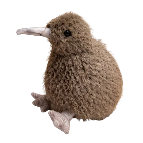 Kiwi Bird - Image 2