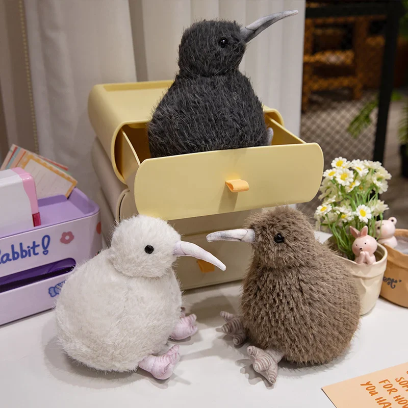 Kiwi Bird - Image 3