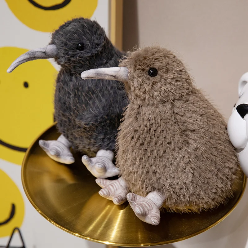 Kiwi Bird - Image 4