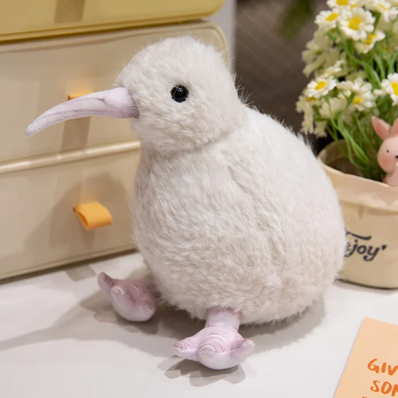 Kiwi Bird - Image 5