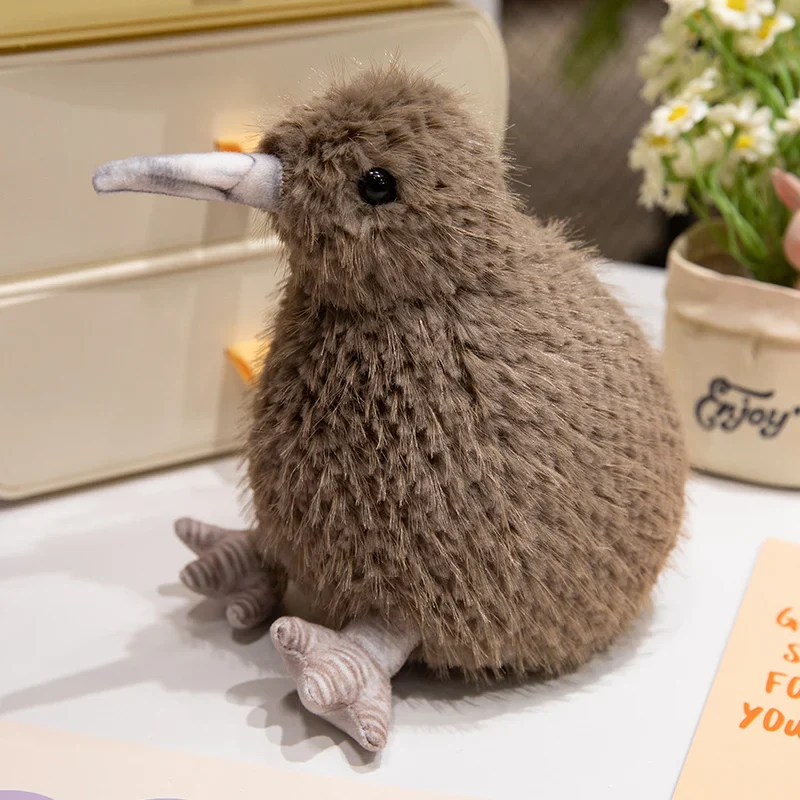 Kiwi Bird - Image 6