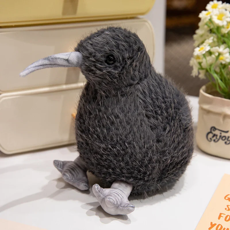Kiwi Bird - Image 7