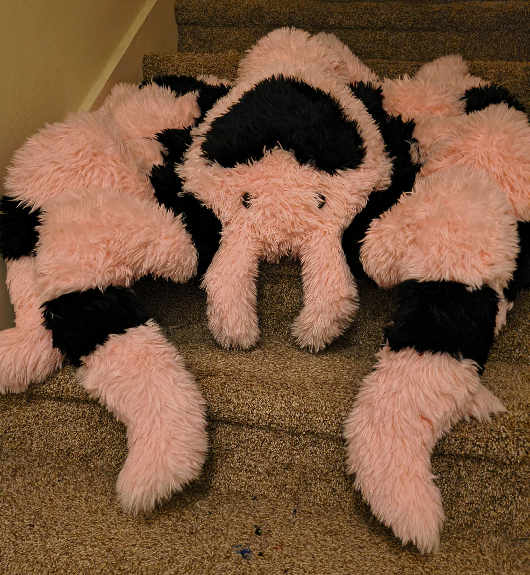 Love Tarantula - Image 3