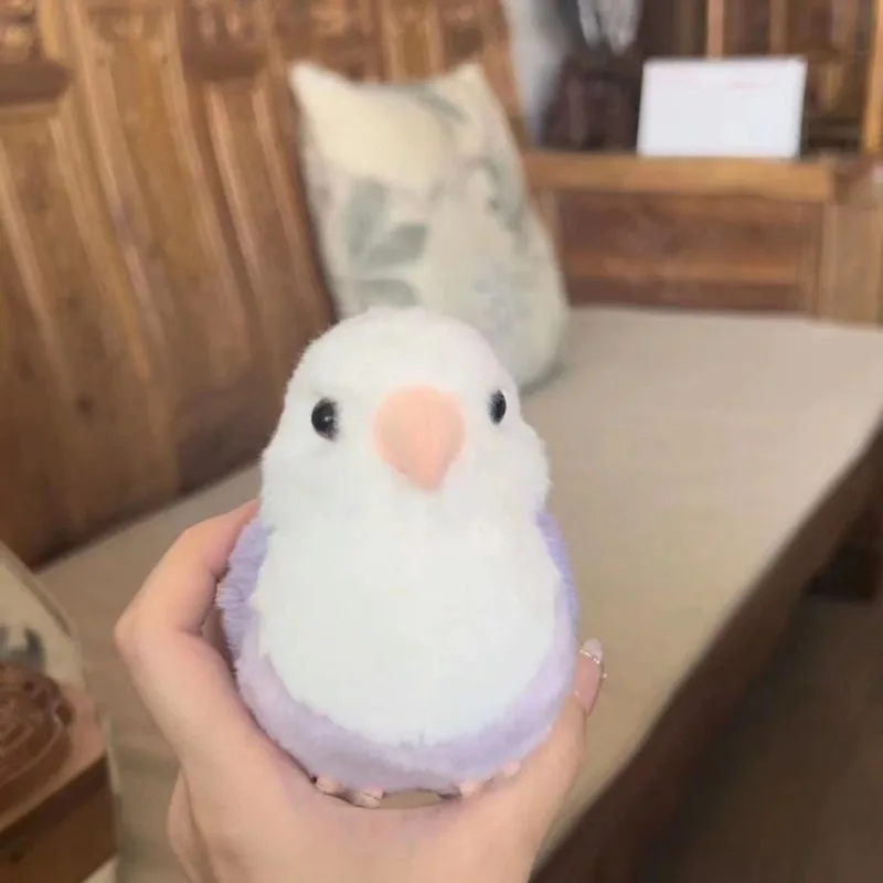 Lovebird Parrot - Image 3