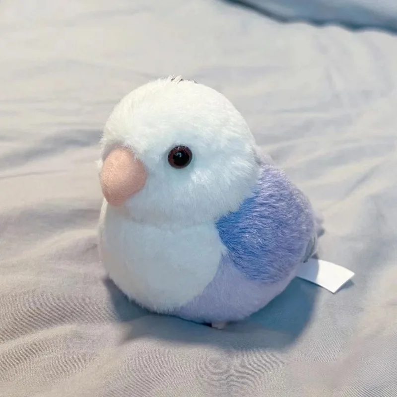 Lovebird Parrot - Image 4
